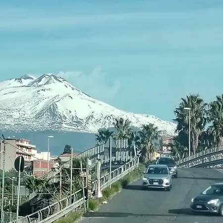 別荘 House 80palmi